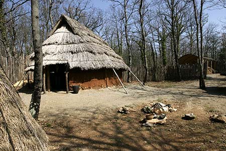 museo cetona